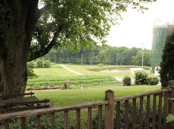Summertime view from the apartment deck.  