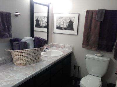 1 Bdm Corporate & Vacation Comfort Home Away from Home Midtown Close to Airport