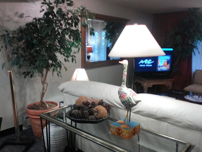 1 Bdm Corporate & Vacation Comfort Home Away from Home Midtown Close to Airport