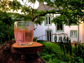 Refreshments in the rear garden