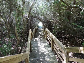 Private Canopy Walkway to Beach Access