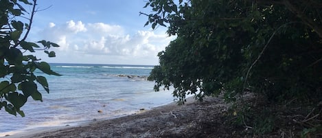 Estate Beach West side of property. 