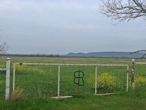 BLR Ranch, frolick in the fields overlooking the hills of Possum Kingdom Lake 