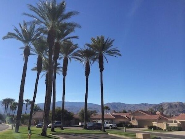 View from the front door.