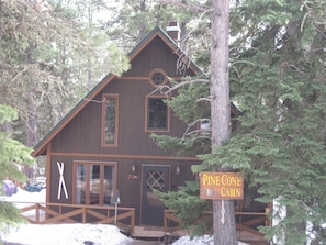 This cabin is cozy year round!  Walking distance to ski and hike!
