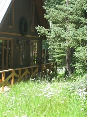 Daisies and ferns grow wild covering the yard. 