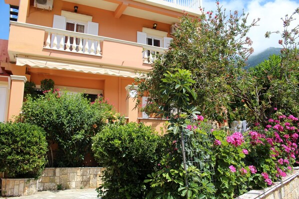 Main view