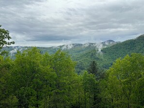 Spring has arrived! Enjoy the lush mountain view from your private deck!