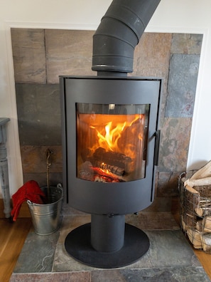 Wood stove - kindling and wood provided