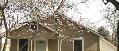 Wingo Cottage - large front porch for relaxing and grilling
