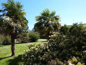 Garden, Park