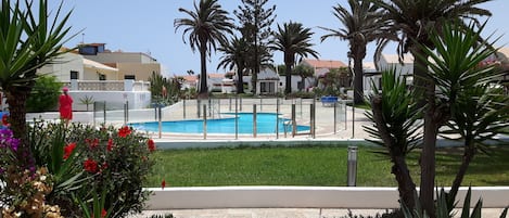 View of pool and gardens from patio