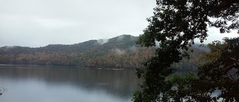 View From Back Porch