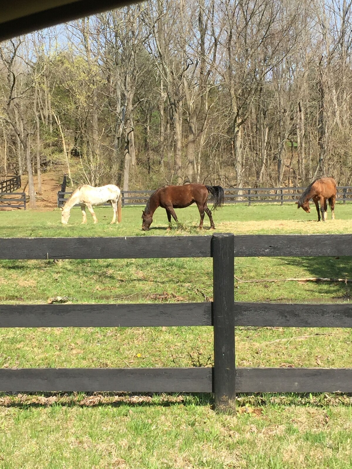 Charming Cottage convenient to Leesburg. Wineries, Hiking and more.