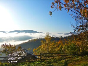 Front view in Autumn