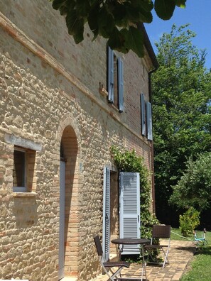 Rear of the house
