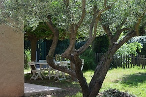 jardin clos arboré d'oliviers