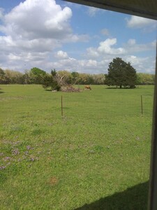 Quiet Country Cottage