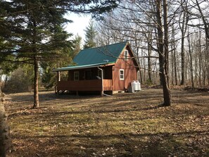 Back yard at the cabin