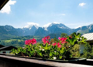 neu renovierte Ferienwohnung Jennerblick mit freiem WLAN, Eck-Balkon, 45 qm-Ausblick Süd vom Balkon Ferienwohnung Jennerblick Nr.1