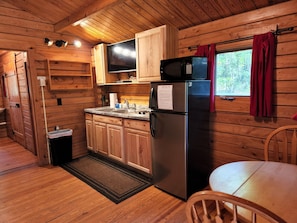 Mini-kitchen area--2 stove top burners, microwave, coffee maker--no oven.
