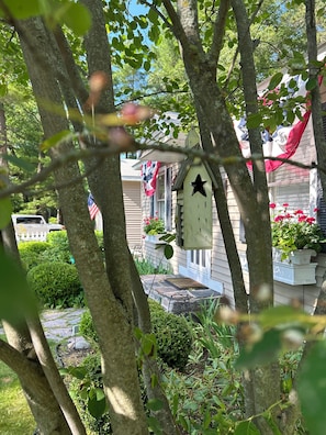 Mature gardens