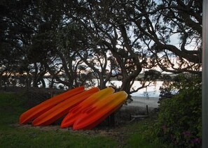 Enjoy kayaks and rowboat