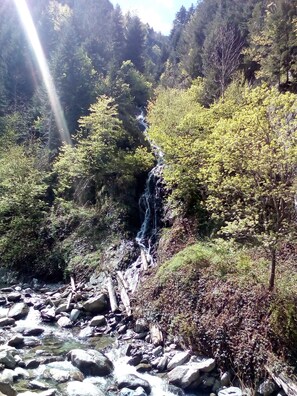 a small waterfall nearby.