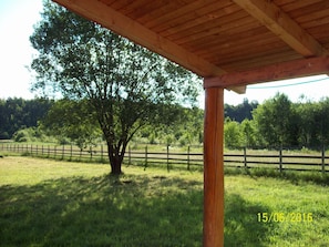 view from the corner of the porch.