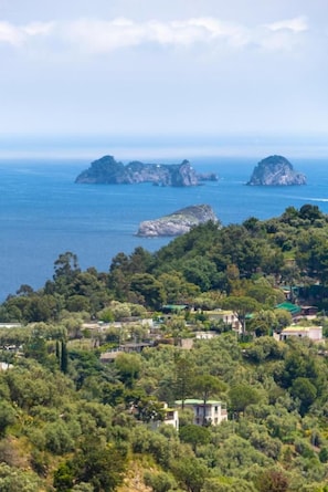 Vue aérienne