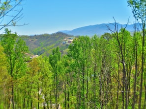 springtime view from the deck
