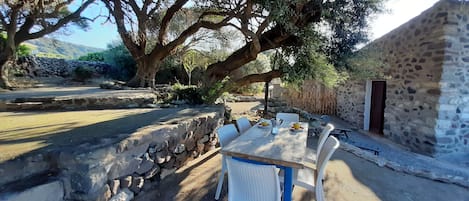 la fantastica terrazza sotto gli ulivi secolari