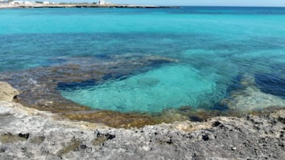 POSEIDONIA - ZWEIZIMMERWOHNUNG IN FAVIGNANA