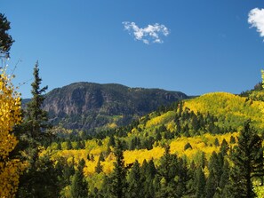 Fall colors are amazing!