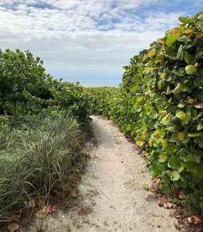 Your beach access!