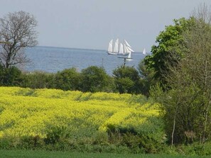 Ausblick Umgebung