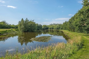 Vista dell'acqua