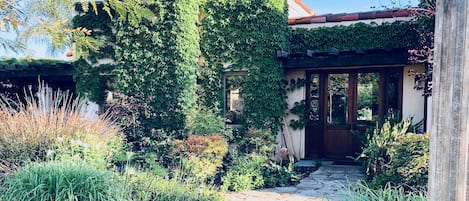 The ivy covered home