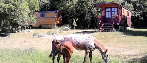 Parco della struttura