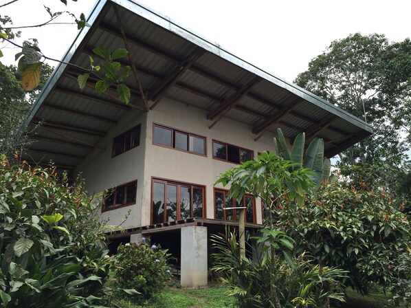 The Bamboo House