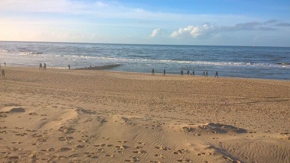 Strand
