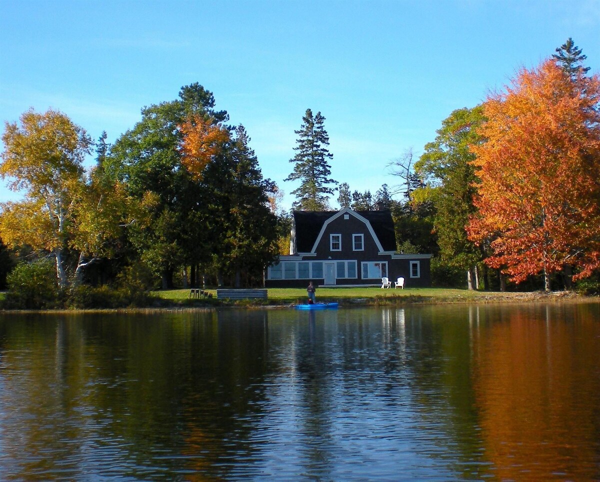 Main Image