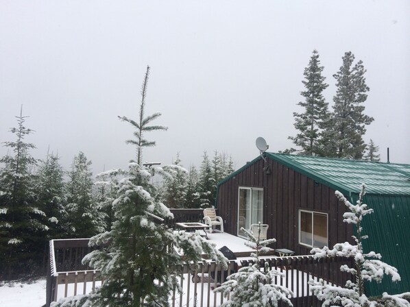 Light snow Feb 2015