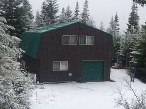 Light snow winter of 2015