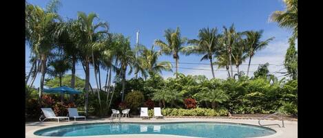  Private Tropical Pool Oasis