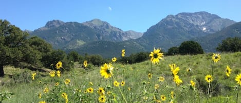 Crestone Peak