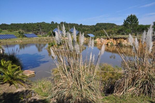 Boendeområde