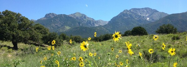 Crestone Peak