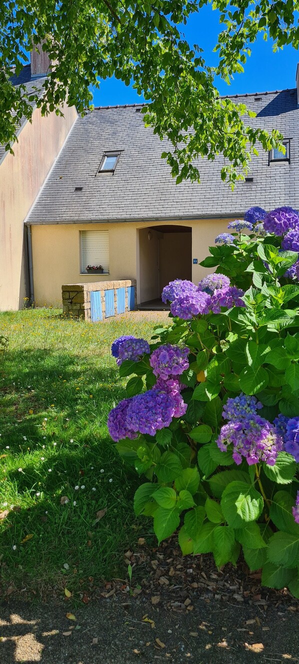 Detalle exterior