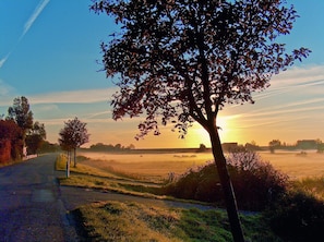 Herbststimmung